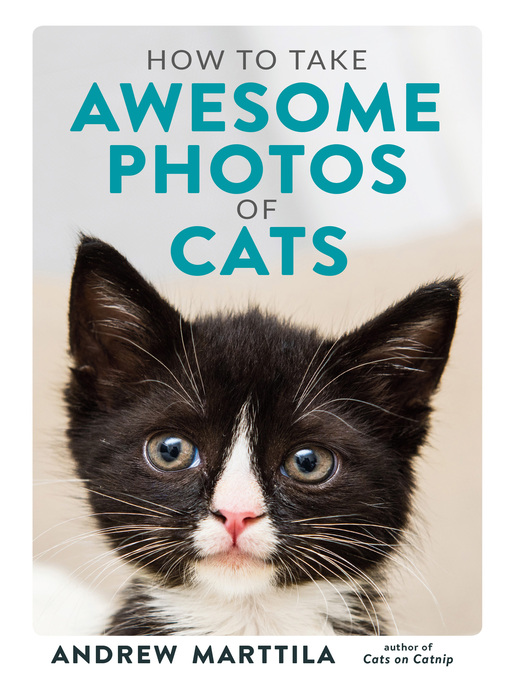 Title details for How to Take Awesome Photos of Cats by Andrew Marttila - Wait list